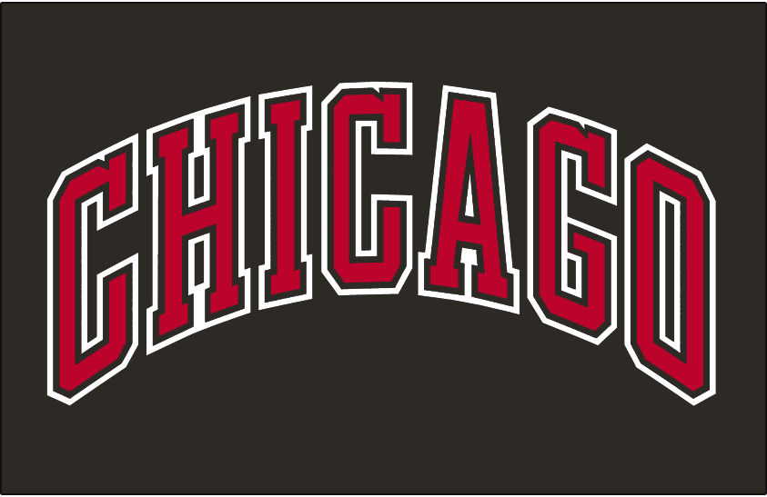Chicago Bulls 1999-Pres Jersey Logo fabric transfer...